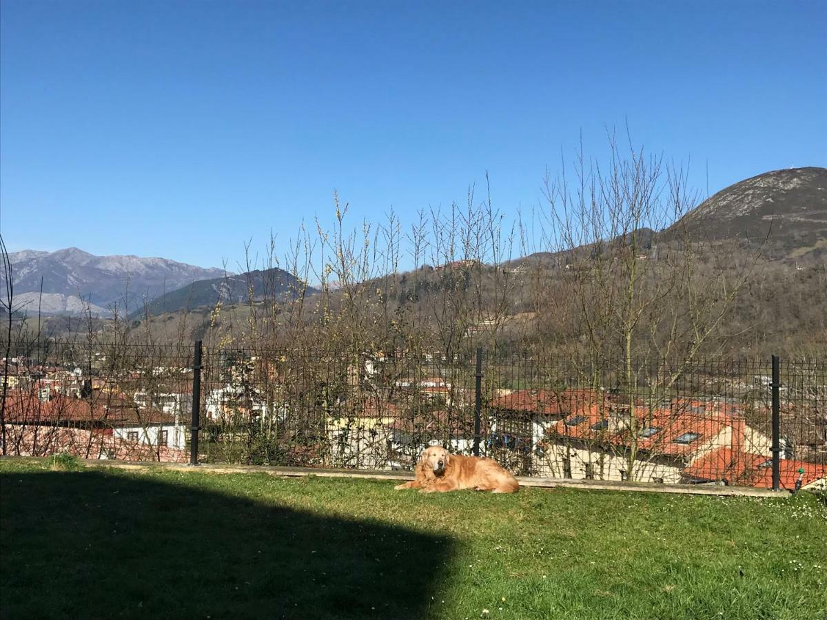 Apartamento Cangas Relax Cangas de Onis Bagian luar foto